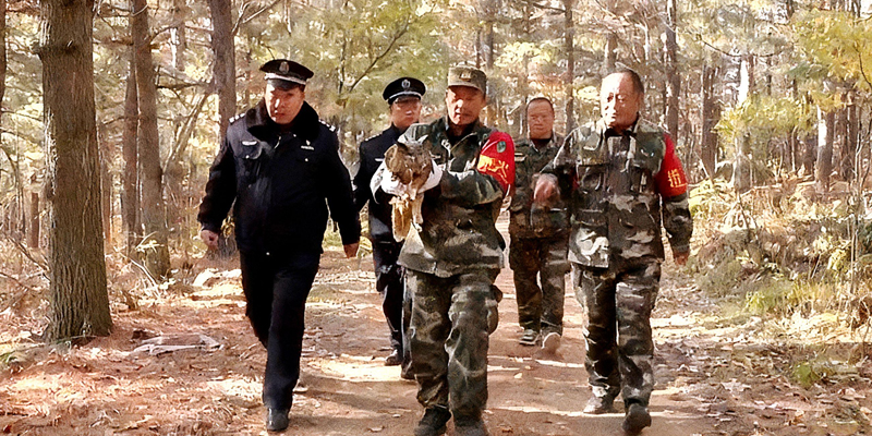 6901685b5c3bf.jpg 6901685b5c3bf.jpg