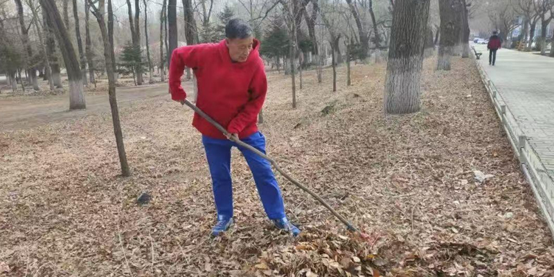 6904125408209.jpg 6904125408209.jpg